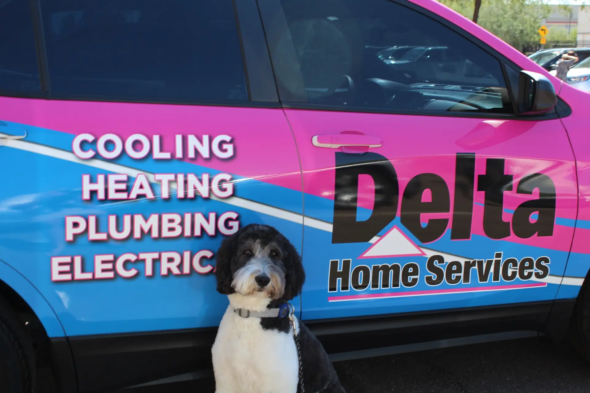 Dog in front of Delta Home Services service van